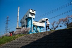 M_P_0146