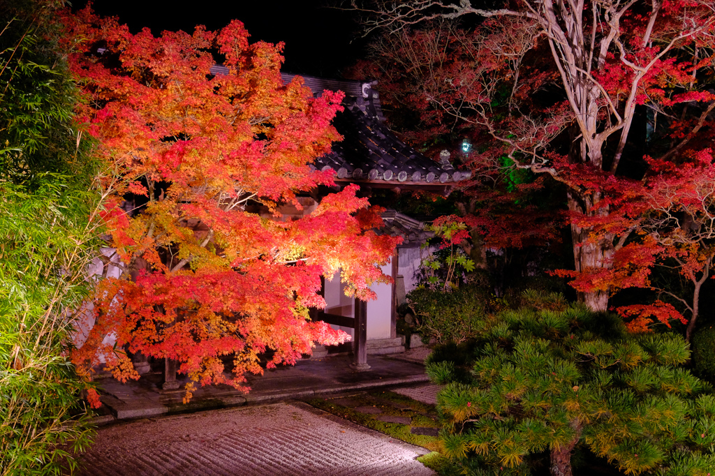 天授庵庭園夜景
