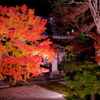 天授庵庭園夜景