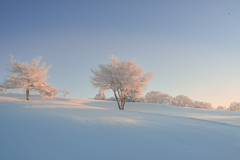 雪景色の夜明け