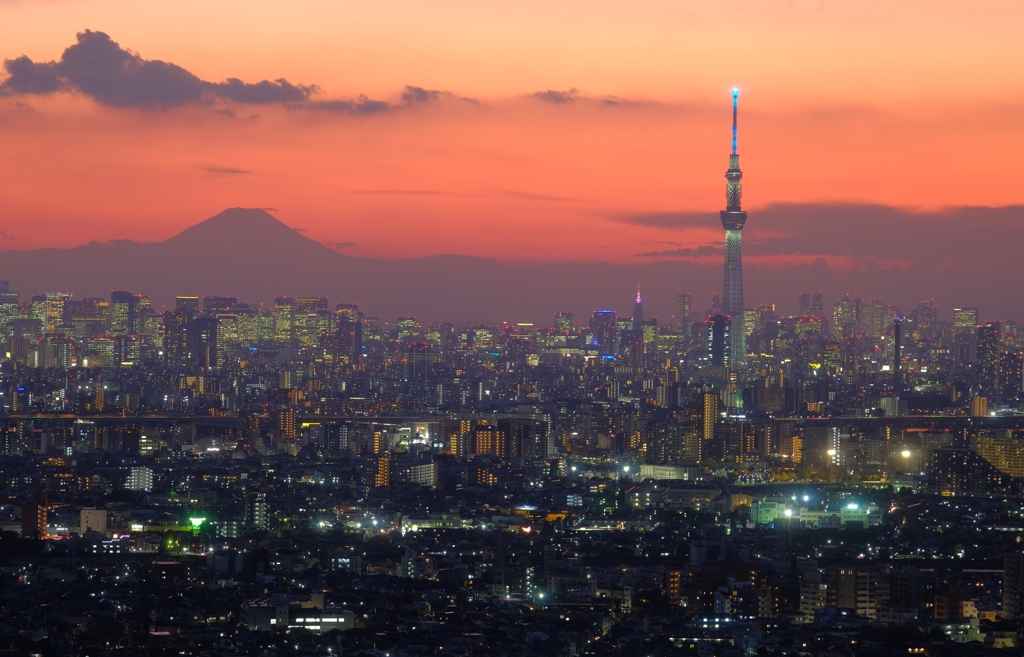スカイツリー夜景