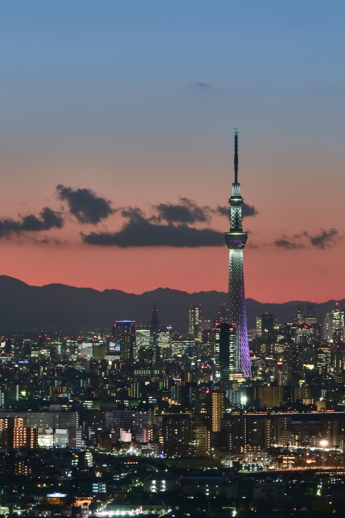 夕空に浮かぶ冬雅