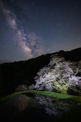 桜と天の川