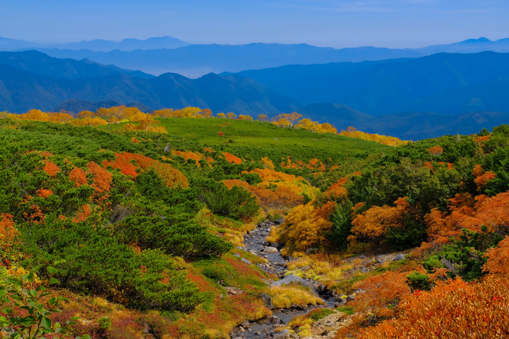 山岳紅葉