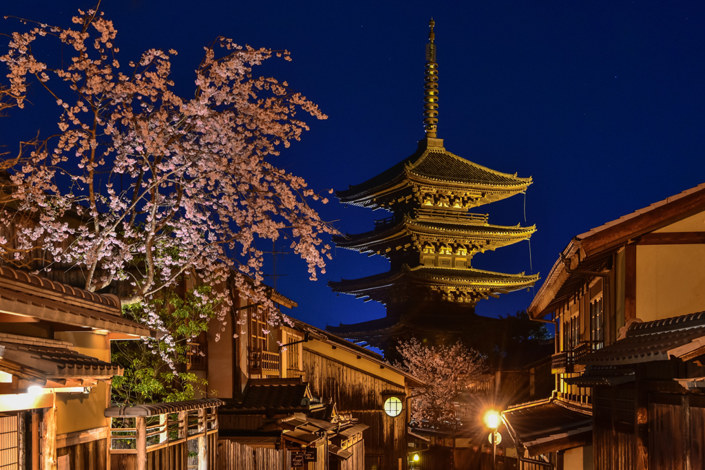 古都の春景～八坂の塔へ～