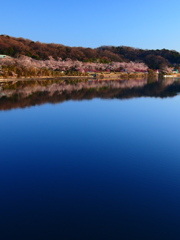 青い湖にも春