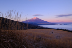 パノラマ台からの富士