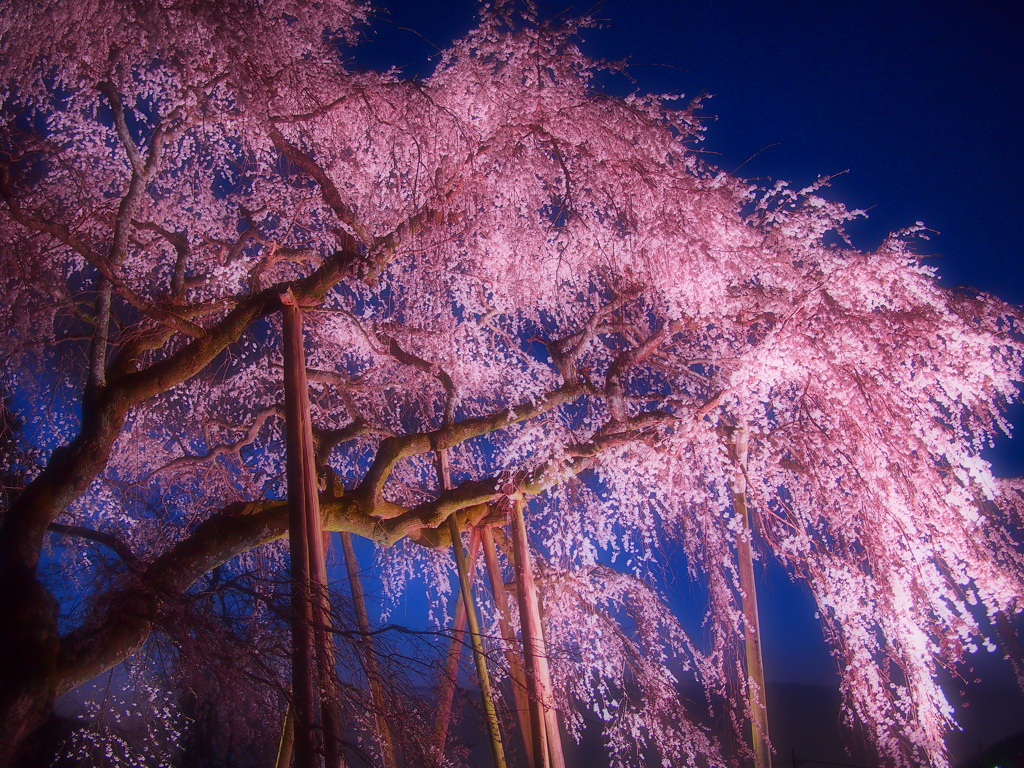 1300年の時を経て