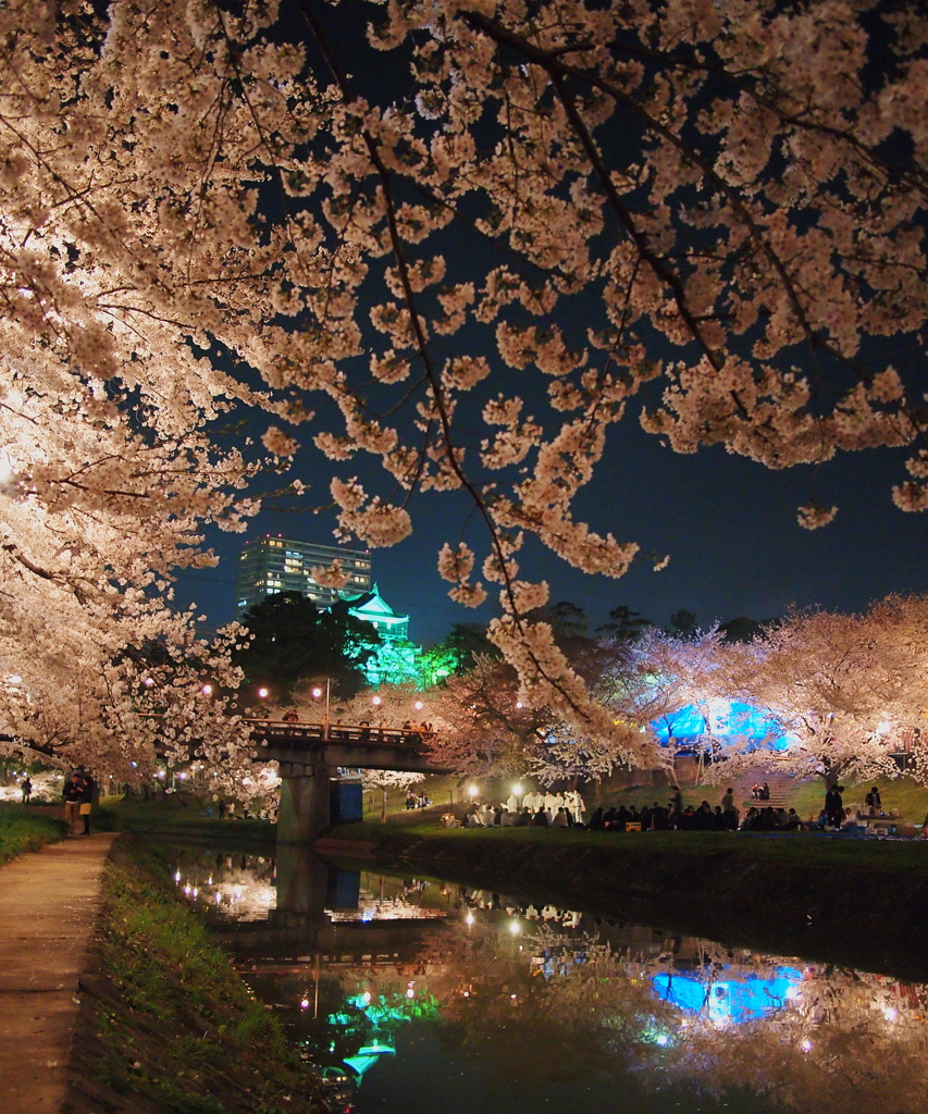 華やぐ春の夜