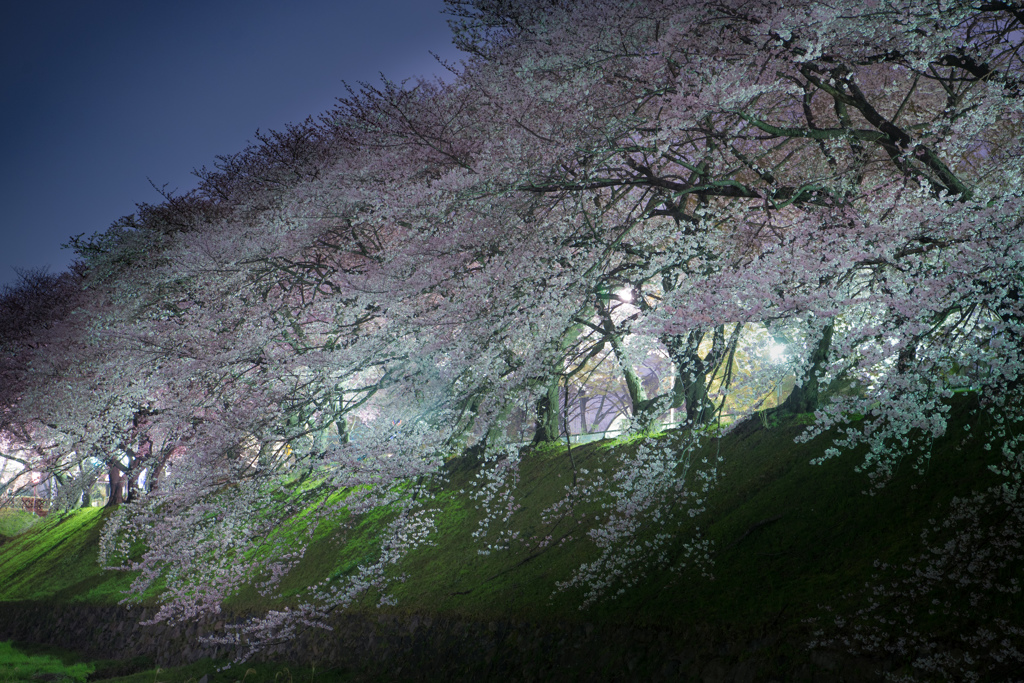 古城の華やぎ３