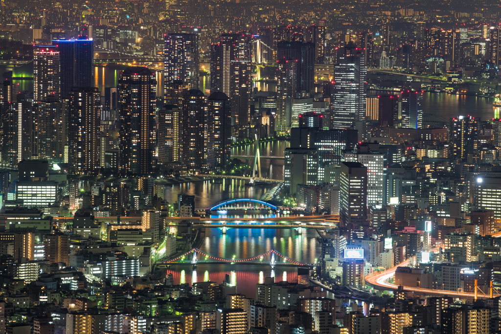 地上の輝き