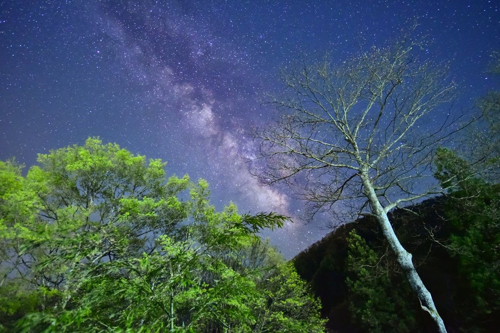阿智の星空