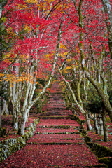 鶏足寺