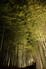 嵐山-冬の灯-３