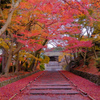 秋色の参道