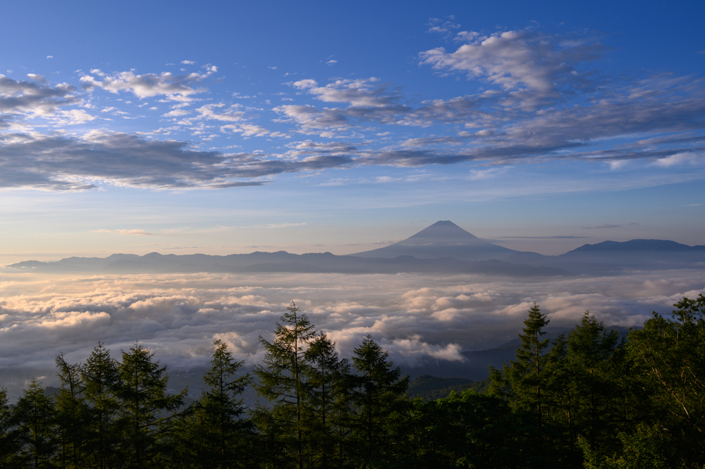甘利山Ⅲ