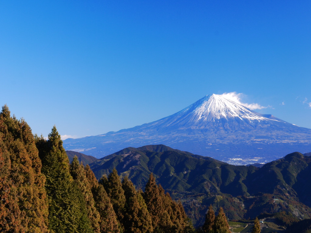 冬晴れ