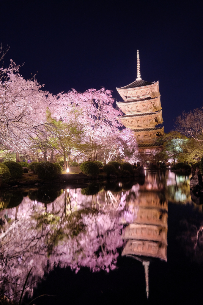 東寺の春Ⅱ