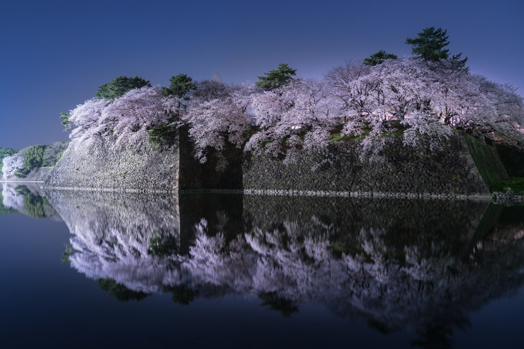 古城に咲くⅡ