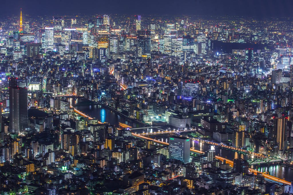 地上の星々