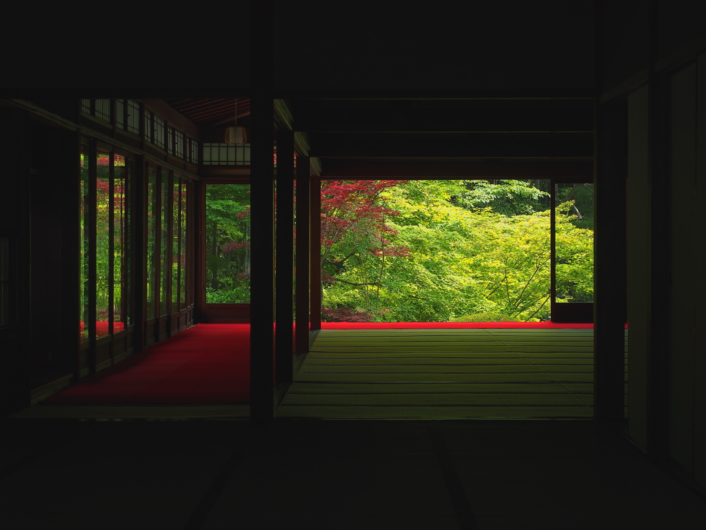 天授庵夏景色