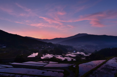 里山の夜明け