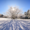 雪景色の光と影