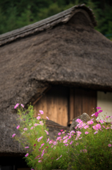 里山の秋