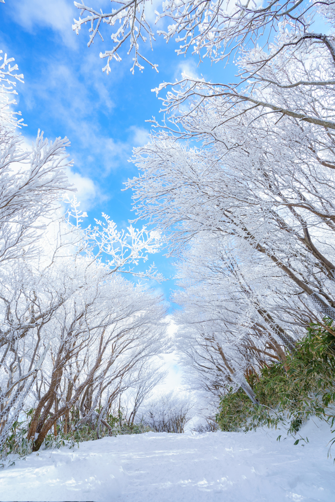 樹氷トンネル
