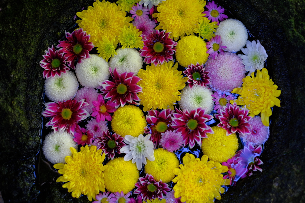 花手水