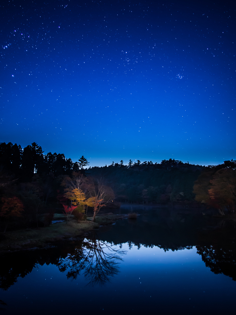 湖上に瞬く