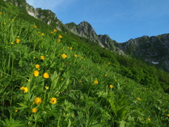 夏の宝剣岳