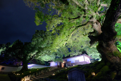 門跡門構え