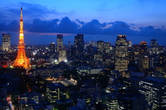 TOKYO NIGHT VIEW