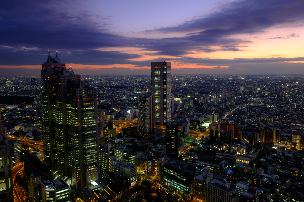 都庁からの夕景