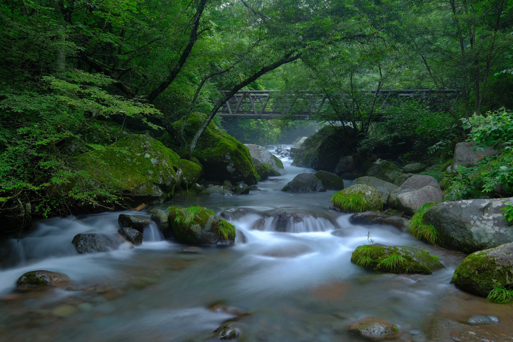 深緑の流れ