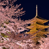 古都の春景～桜色に囲まれ～