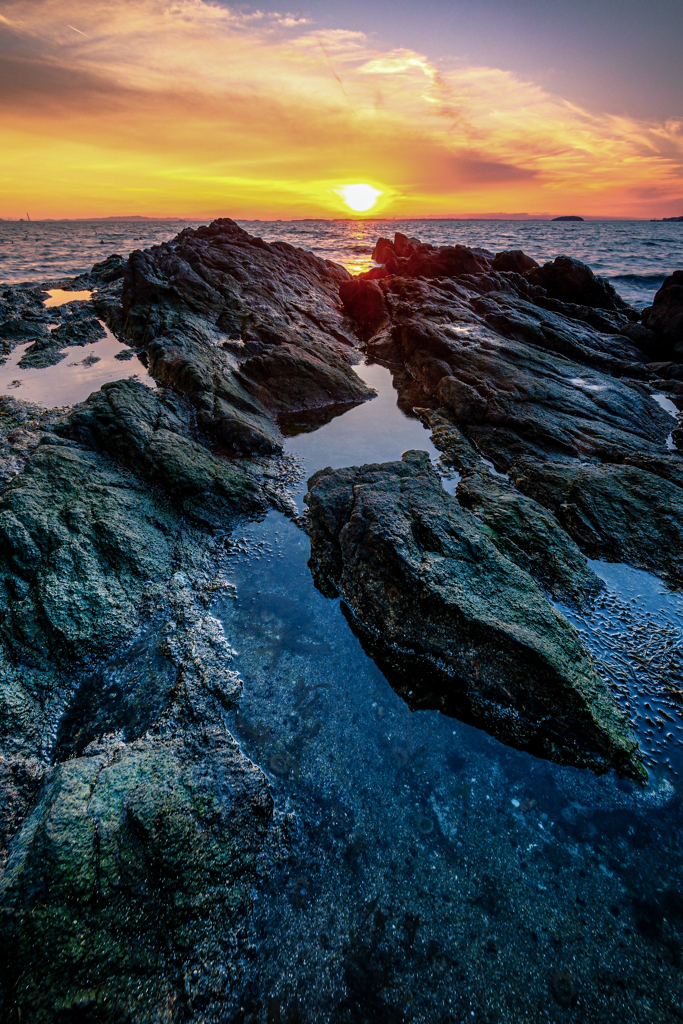 太古の海