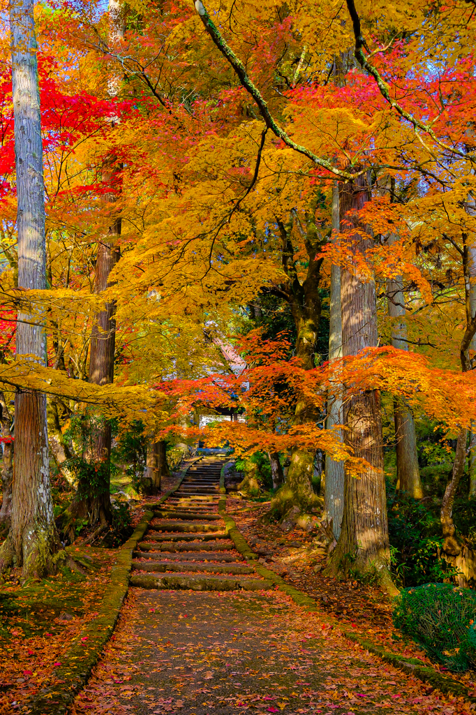 龍隠寺