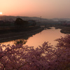 わが街の春景色