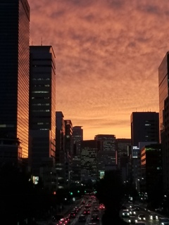 名古屋駅前夕景