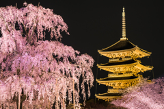 夜に浮かぶ京の春景