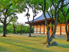 朝影の風景