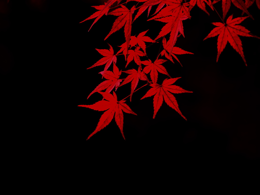 漆
