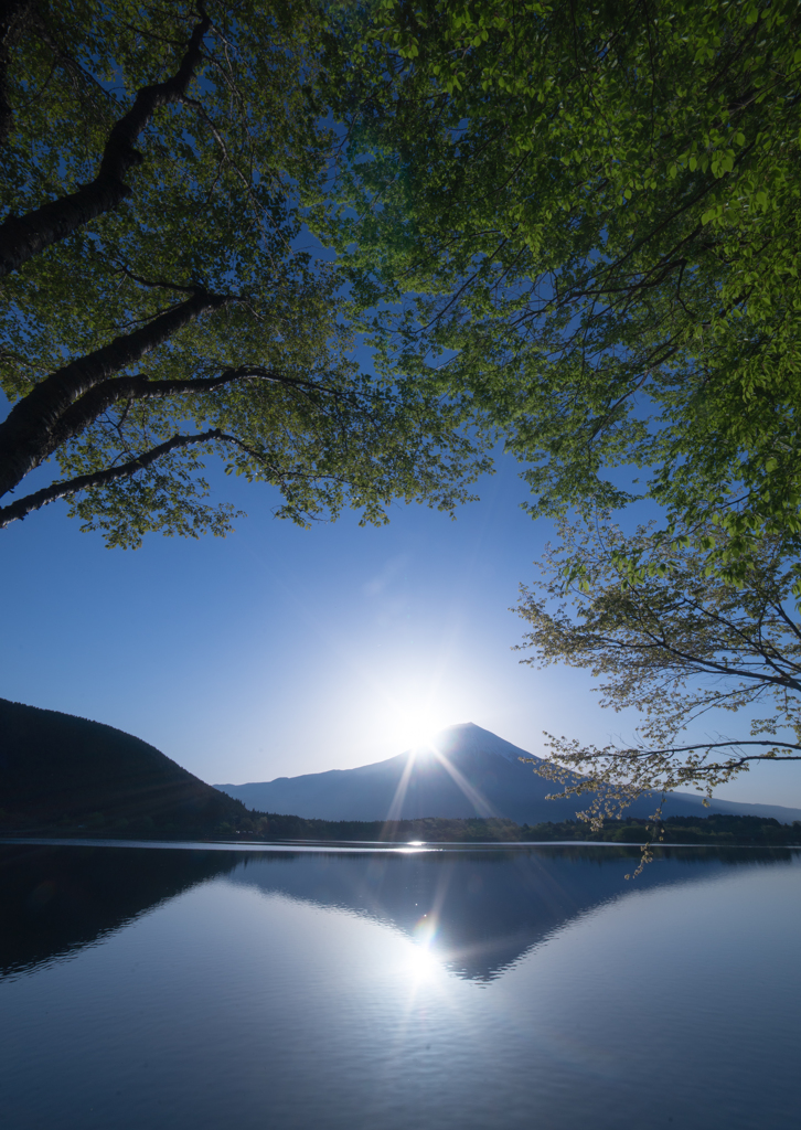 新緑の田貫湖