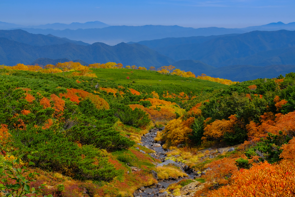 彩の山岳庭園