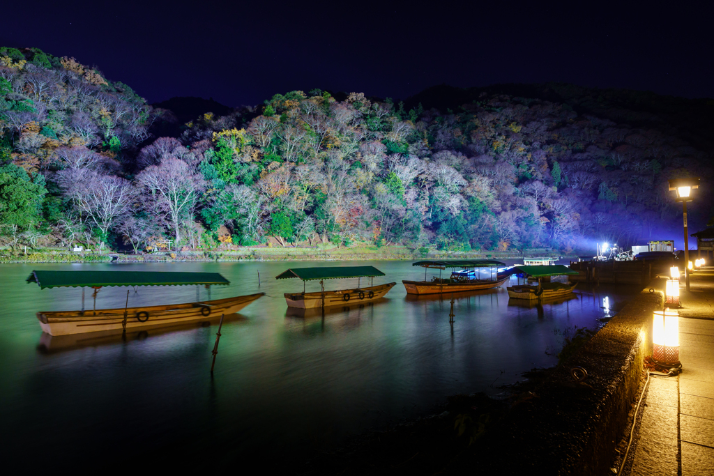 冬の光2019