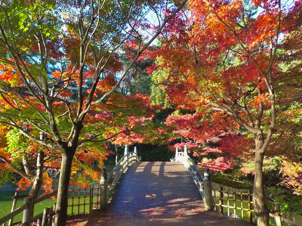錦橋