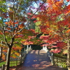 錦橋