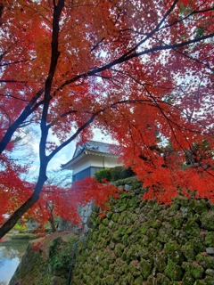 岡崎城の紅葉